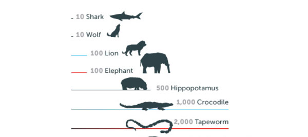 deadlest-animals